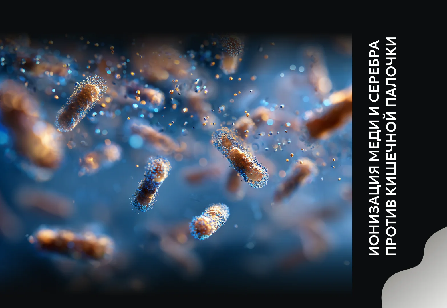 Ионизация меди и серебра против кишечной палочки: научные доказательства эффективности обеззараживания воды бассейнов