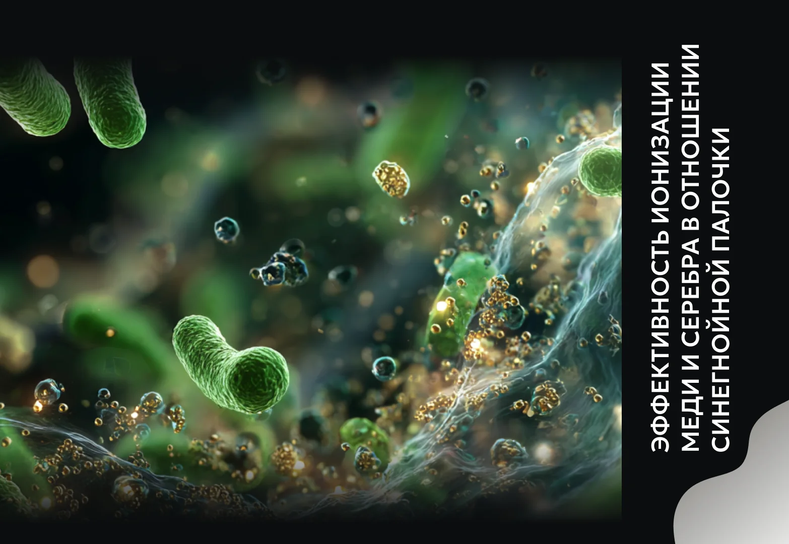 Эффективность ионизации меди и серебра в отношении синегнойной палочки